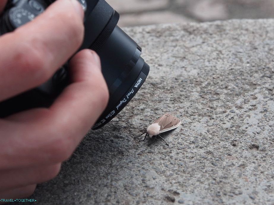 Výlet s entomology - kamera je neustále v režimu makro