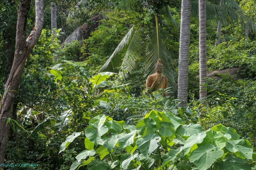 Samui Camp Bar - nejlepší bod na Samui a hrozný Buddha v lese