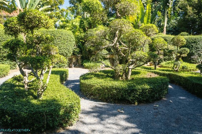 Botanická zahrada v Phuketu - pro milovníky rostlin a sebe sama