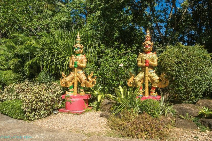 Botanická zahrada v Phuketu - pro milovníky rostlin a sebe sama
