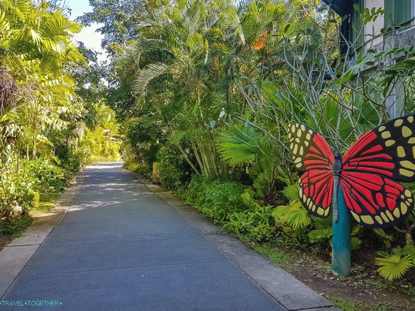 Botanická zahrada v Phuketu - pro milovníky rostlin a sebe sama