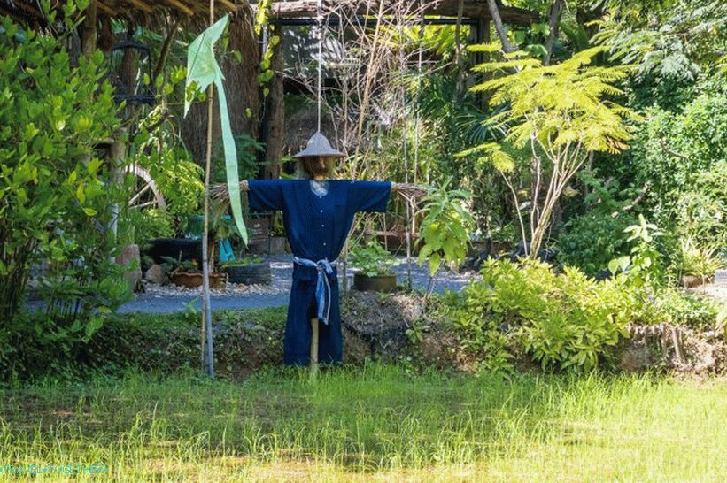 Botanická zahrada v Phuketu - pro milovníky rostlin a sebe sama