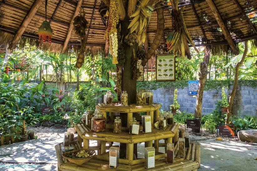 Botanická zahrada v Phuketu - pro milovníky rostlin a sebe sama