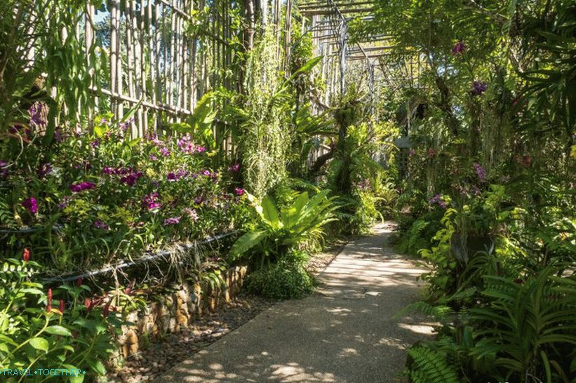 Botanická zahrada v Phuketu