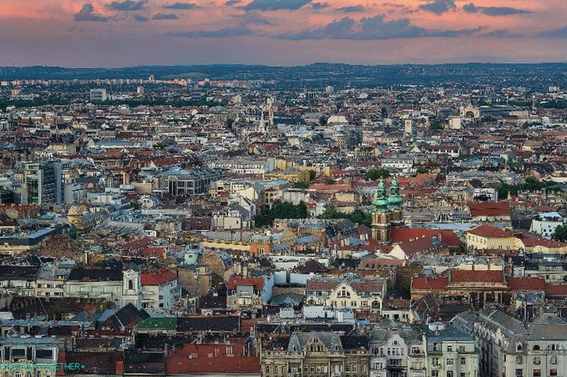Pest Panorama