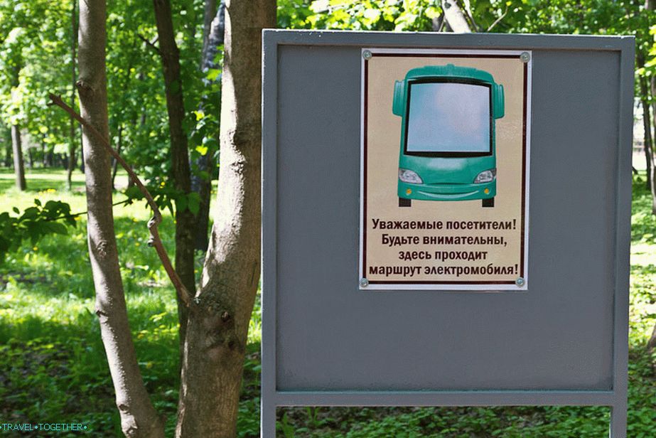 Dejte si pozor na elektrické auto!