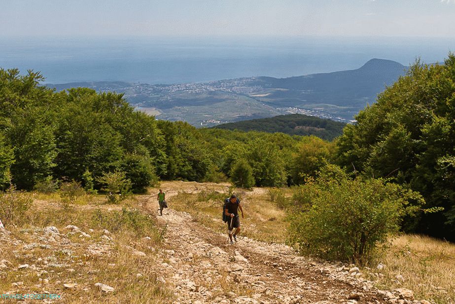 Opustil les a vyšplhal na Chatyr Dag