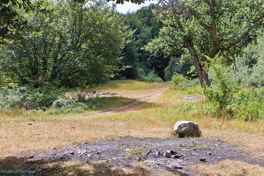 Parkovací buková louka