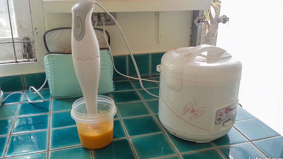 Mixér nasekané mango