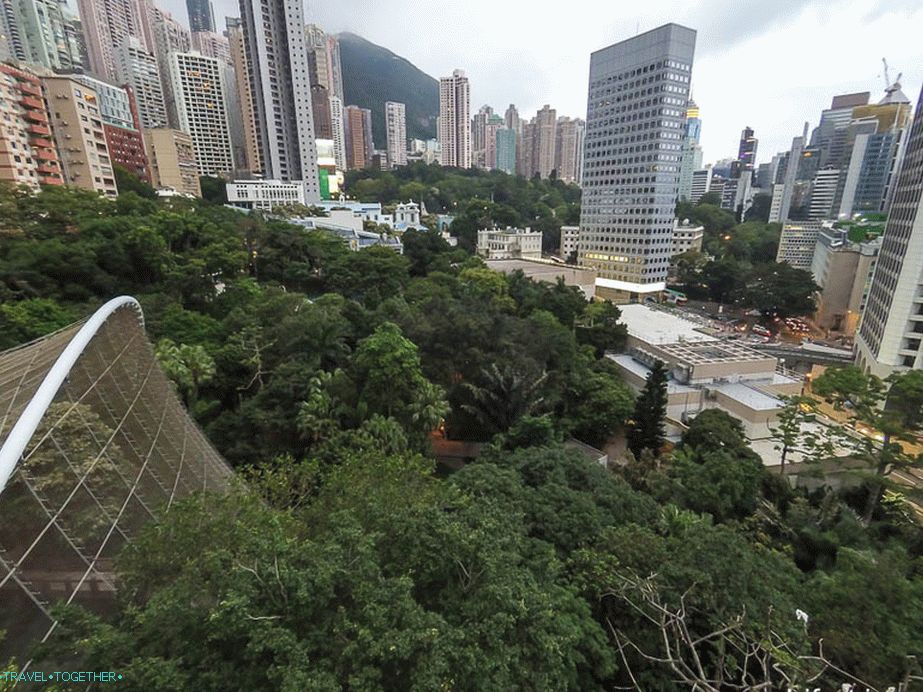 Pohled z rozhledny v hongkongském parku