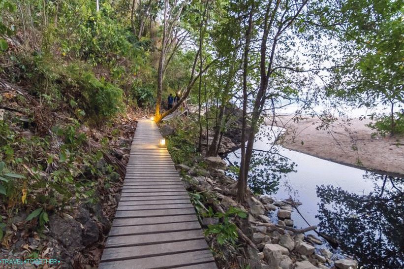 Monkey trail