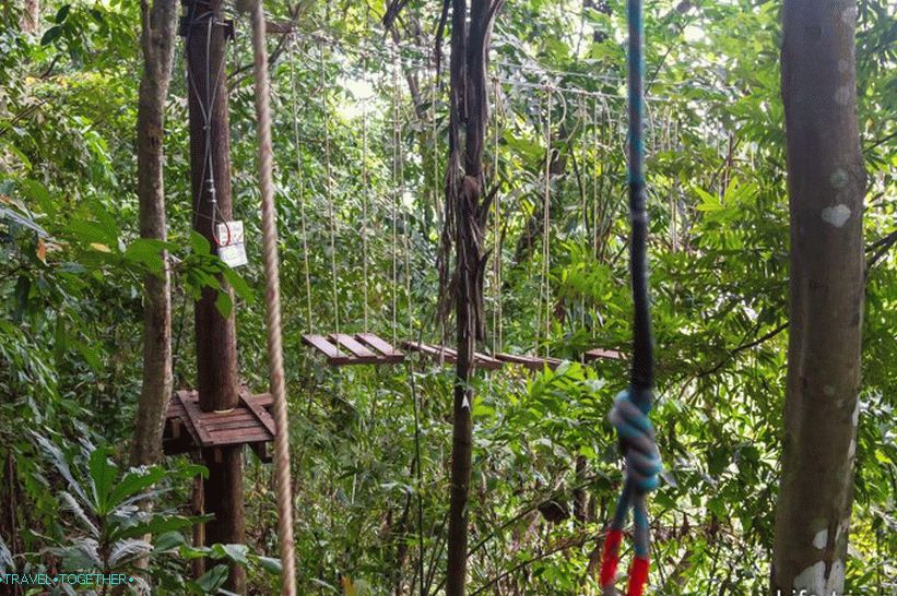 Lano park Tree top adventure