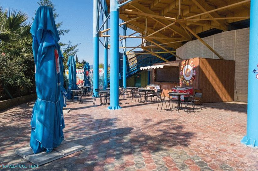 Dolphinarium in Adler (dříve Aquatorium) - pro nezkušené