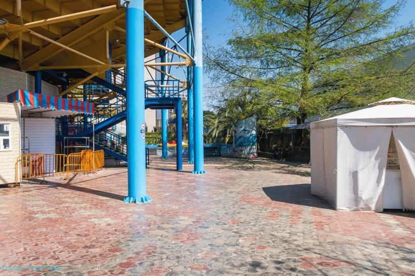 Dolphinarium in Adler (dříve Aquatorium) - pro nezkušené