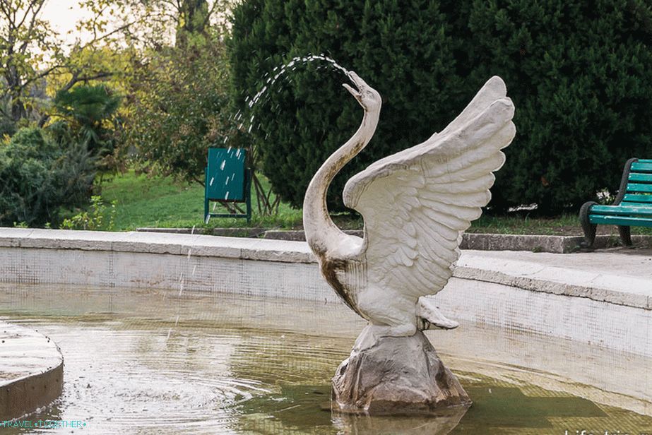 Fountain Tale