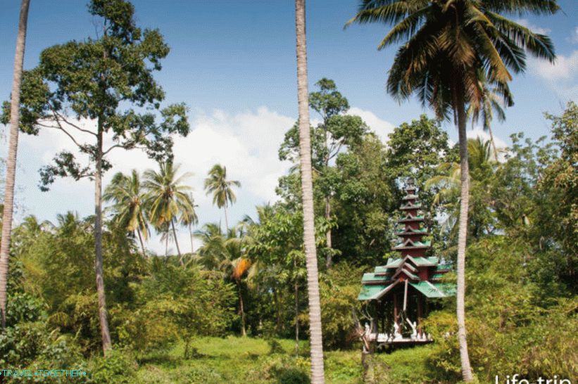 Balijská pagoda v hlubinách území