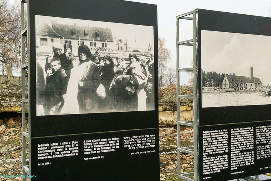 Lidé čekají na svůj tah v plynové komoře