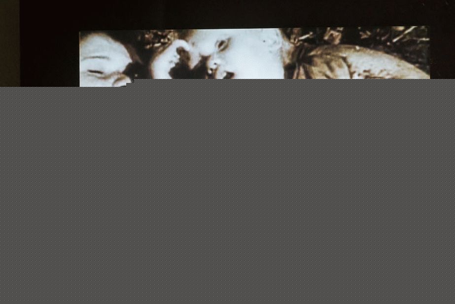 Fotografie z ruské expozice