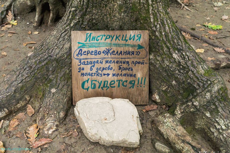 Umístěte znamení poblíž jakéhokoli stromu a legenda je připravena!