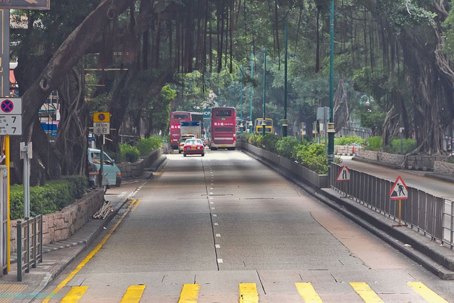 Velké stromy visí nad Nathan Road