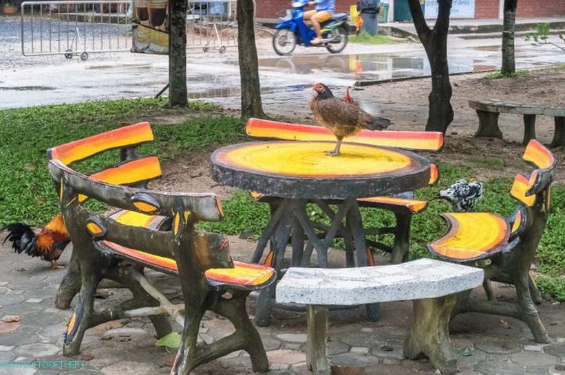 Ve stínu si můžete sednout a jíst - v Thajsku je to normální