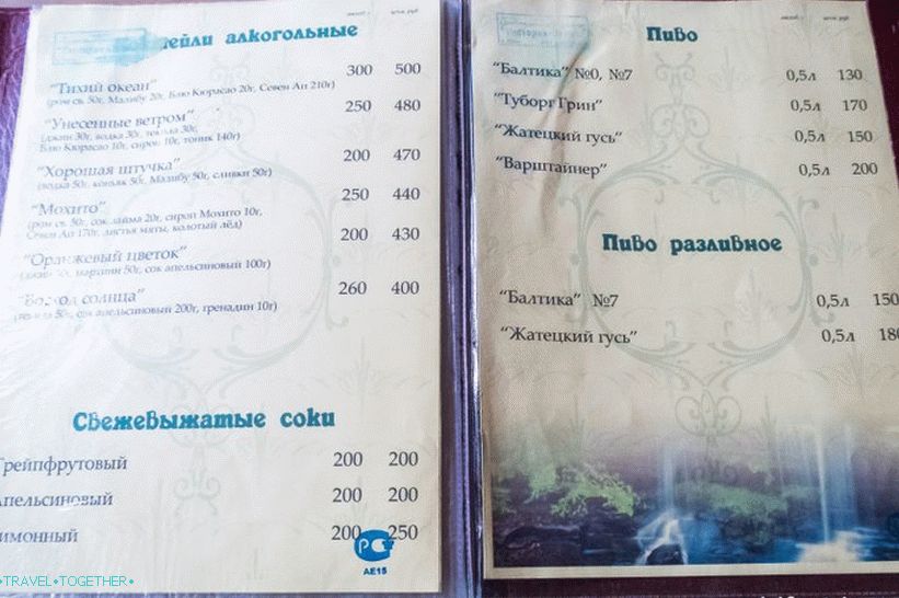 Snake Cafe - jediná instituce na vodopády Zmeikovskie