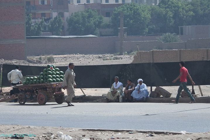 Egypt. Káhira. Prodejci melounů.