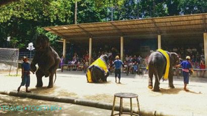 Elephant Show v Namuang Safari Park na Samui Elephant Show v Namuang Safari Park na Samui