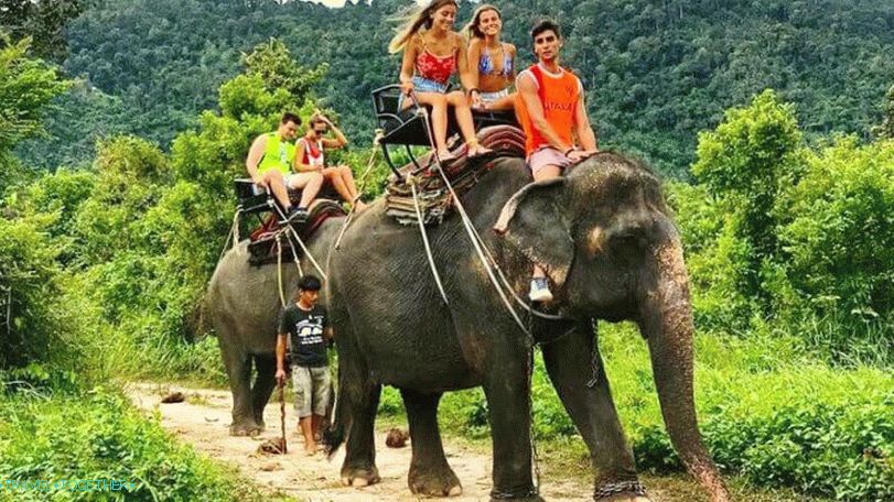 Jízda na slonech v Namuang Safari Parku na Samui Jízda na slonech v Namuang Safari Parku na Samui