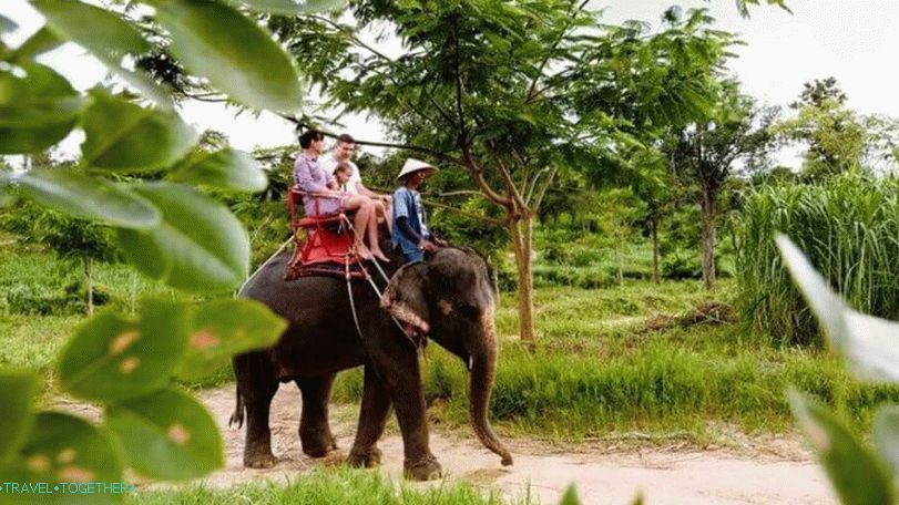 Jízda na slonech v Namuang Safari Parku na Samui Jízda na slonech v Namuang Safari Parku na Samui