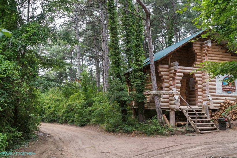 Odbočte v kempu Pine Paradise