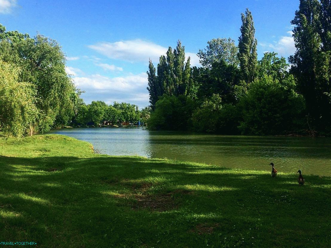 Park Sunny Island. Fotografie - @tanya_kaliturina