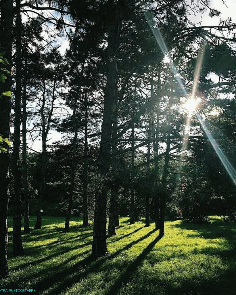 Arboretum v Krasnodaru. Fotografie - @kristinamarinkina