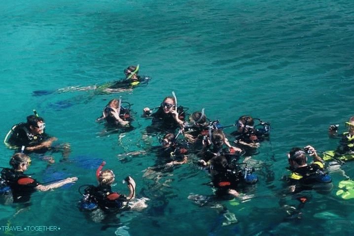 Vietnam Diving Vietnam Diving