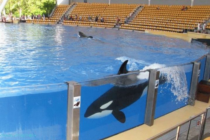 Kanárské ostrovy, Loro Park u města Puerto de la Cruz