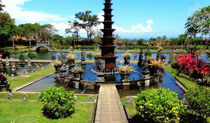 “Bali,