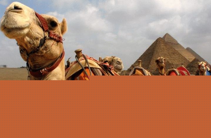 “Egyptská