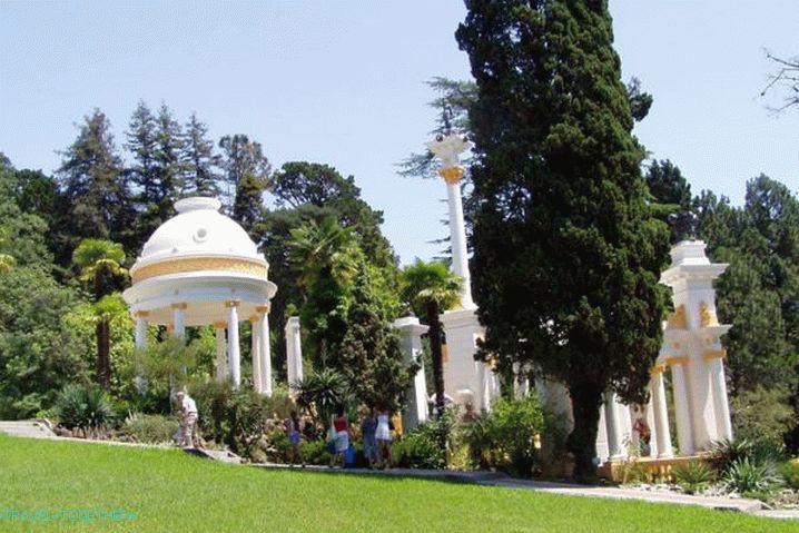 Soči, Arboretum
