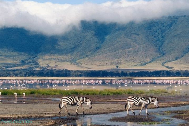 Tanzanie Ngorongoro Tanzanie Ngorongoro