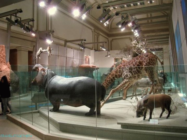 Maledivy Národní muzeum2 „Maledivské