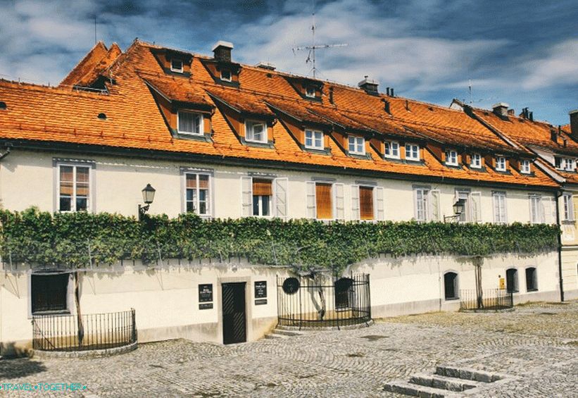 Stará réva a dům u staré révy
