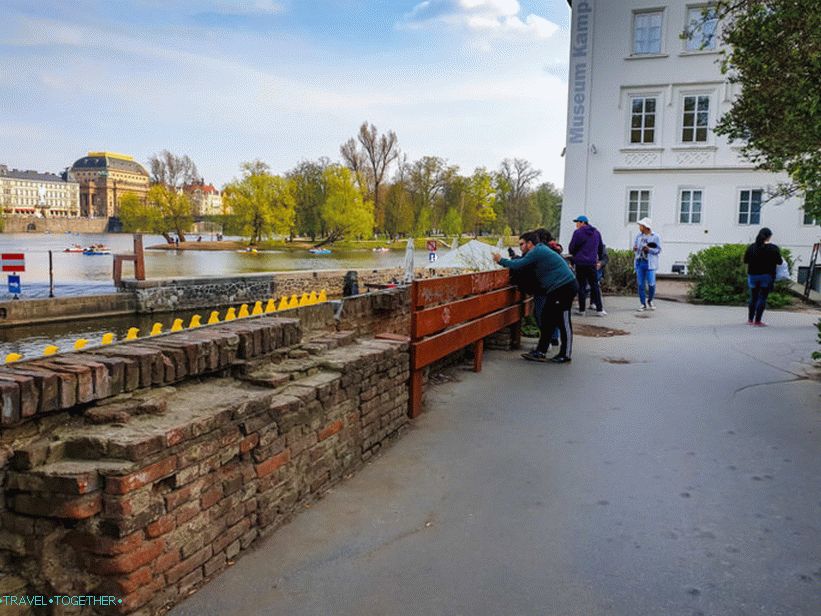 Pochod tučňáků Vltavou - žluté tučňáky v Praze