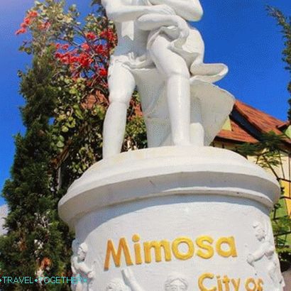 Mimosa - město lásky v Pattaya