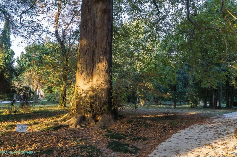 Jižní kulturní park v Soči