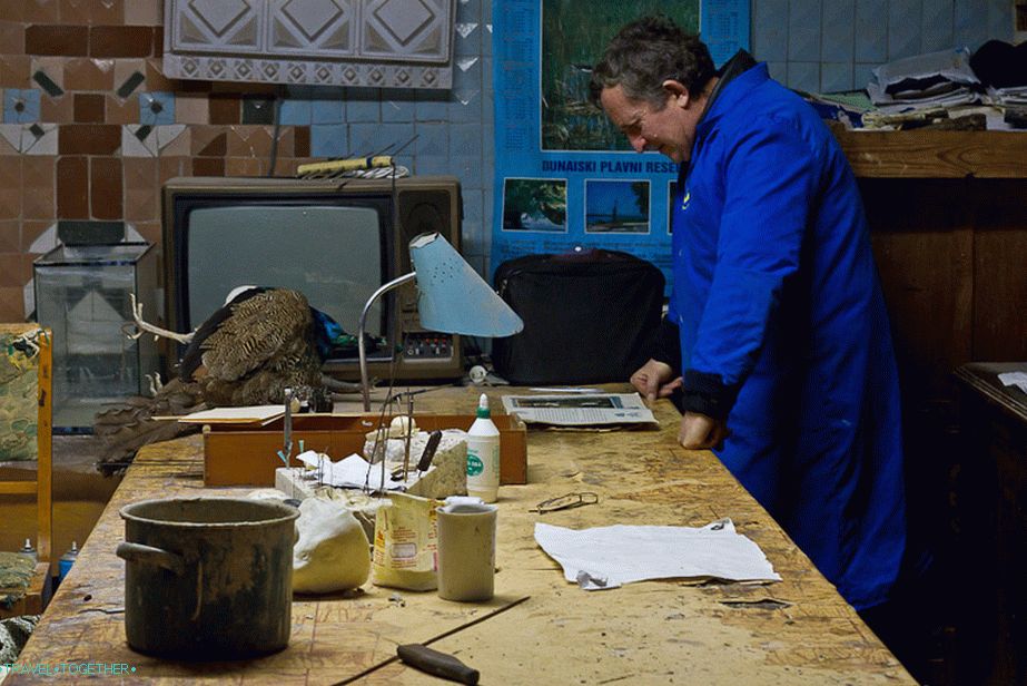Taxidermist u stolu