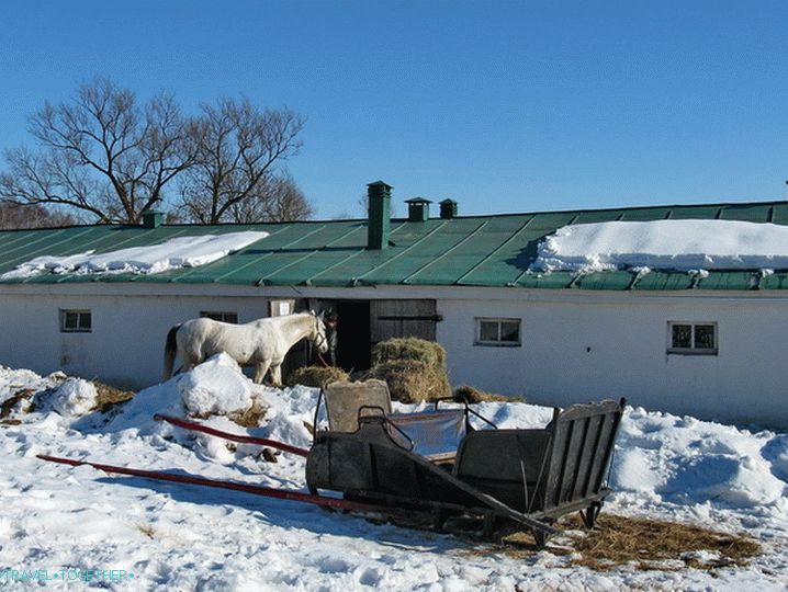 Manor of Tolstoy Yasnaya Polyana. Stabilní.