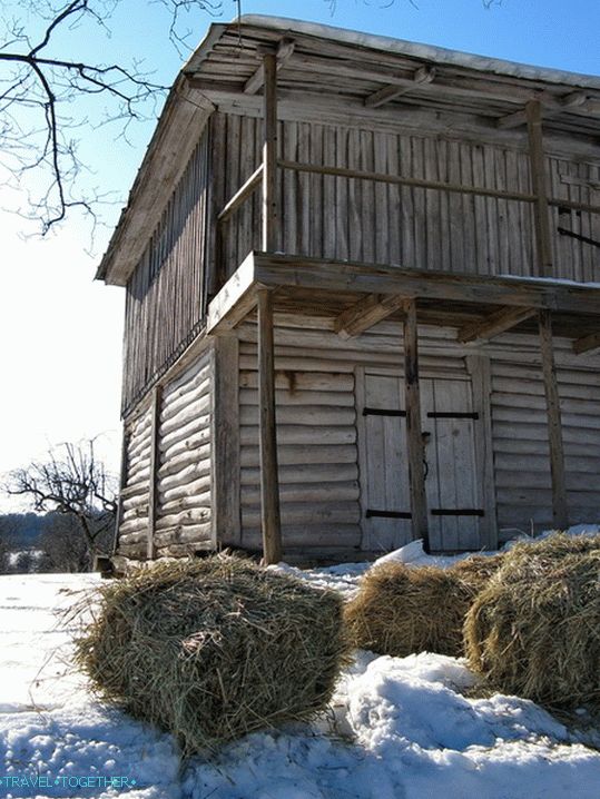 Manor of Tolstoy Yasnaya Polyana. Hospodářská zvířata.