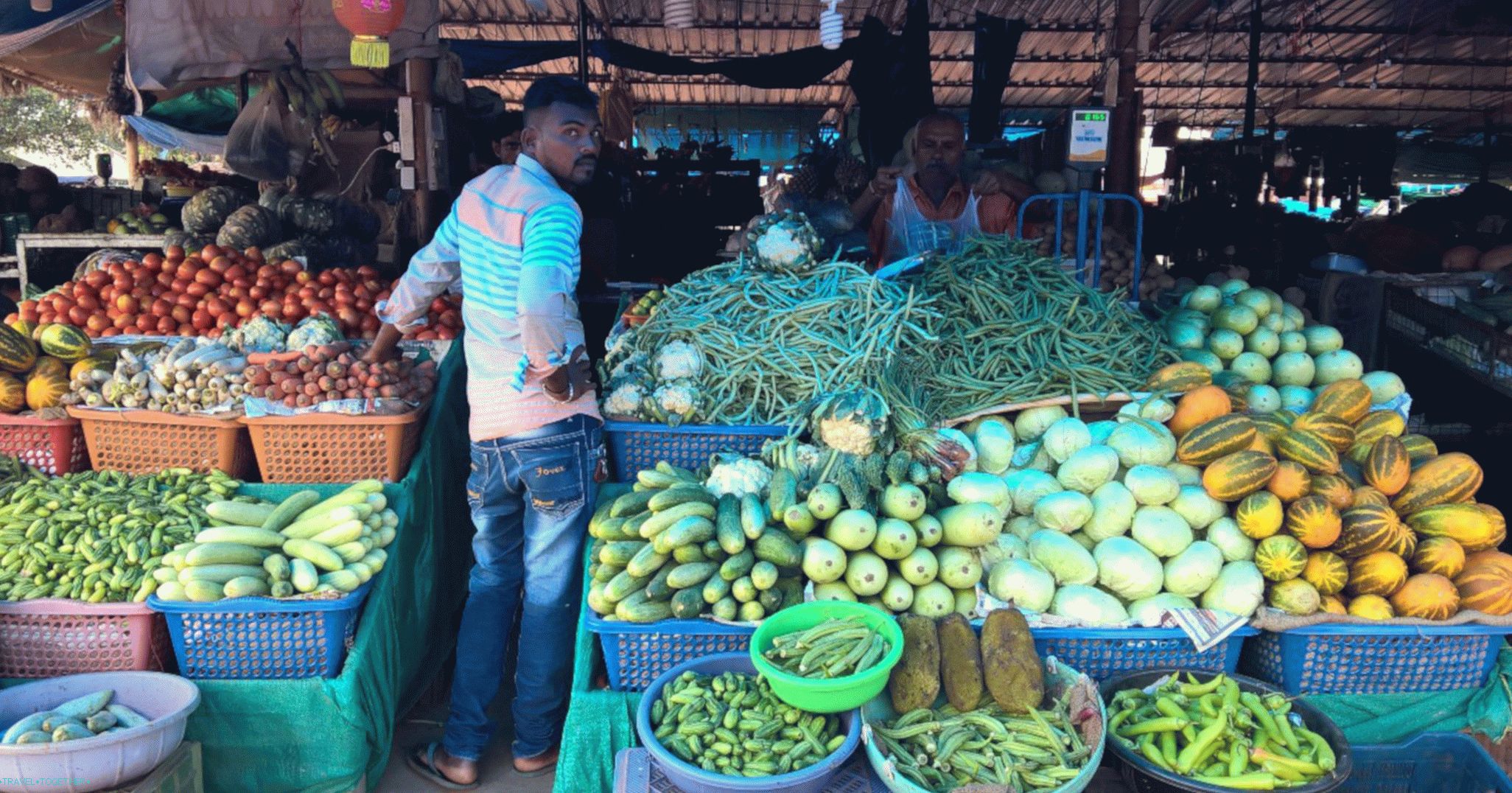 Trh v Goa (ovoce a zelenina)