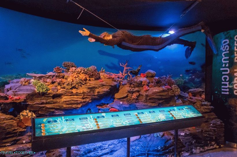 Phuket Oceanarium - což je spíše nudné akvárium