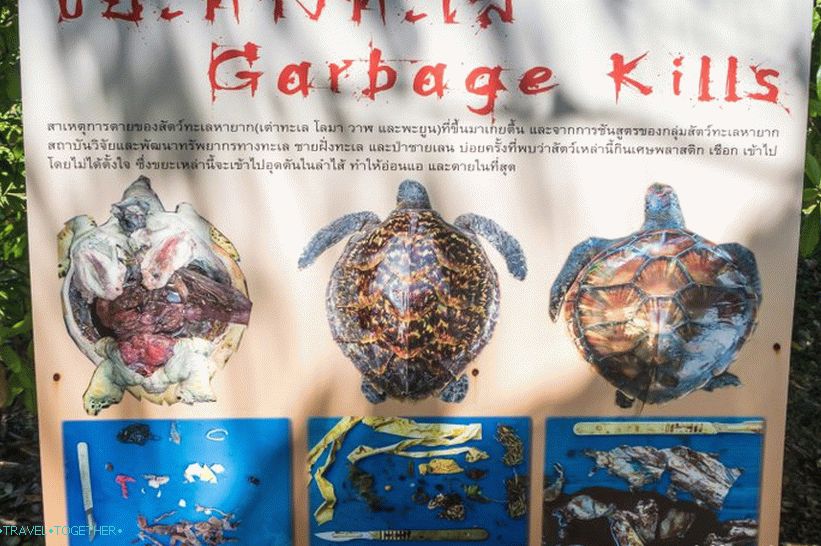 Phuket Oceanarium - což je spíše nudné akvárium